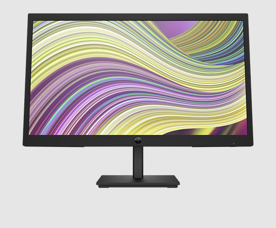 Imagen de un monitor HP P22v G5